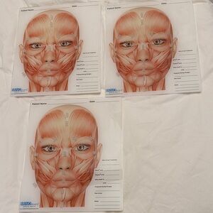 Anatomical Face Muscle Charts